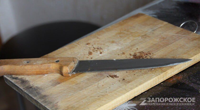 Не грози Южному Централу. Жительница Мелитополя в пьяной ссоре пырнула сожителя ножом