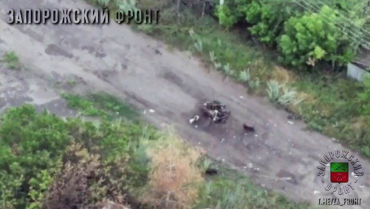 Раненого хохла пытались эвакуировать с помощью беспилотной роботизированной платформы, но его тушку заприметила стая голодных собак