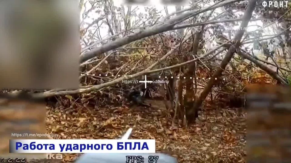 ������� ����� ������ ���������� "�����"