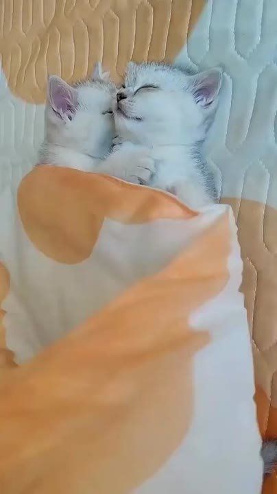 ����� ������� ����. ��, ������ �� ������� �� ���, �� ���������� ������ � �������