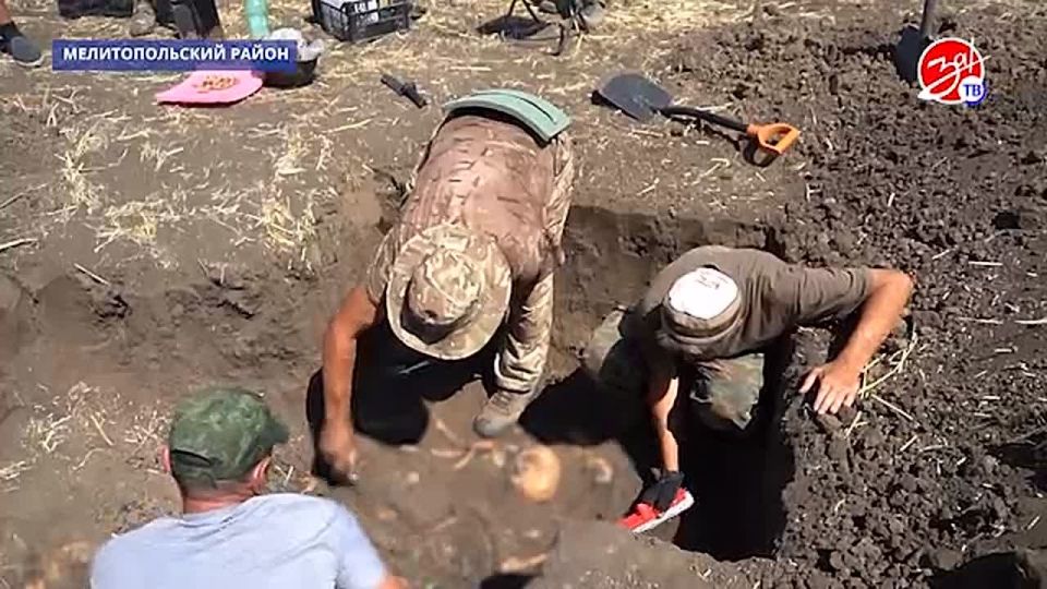 Вблизи посёлка Новое поисковые команды обнаружили останки солдат Красной армии