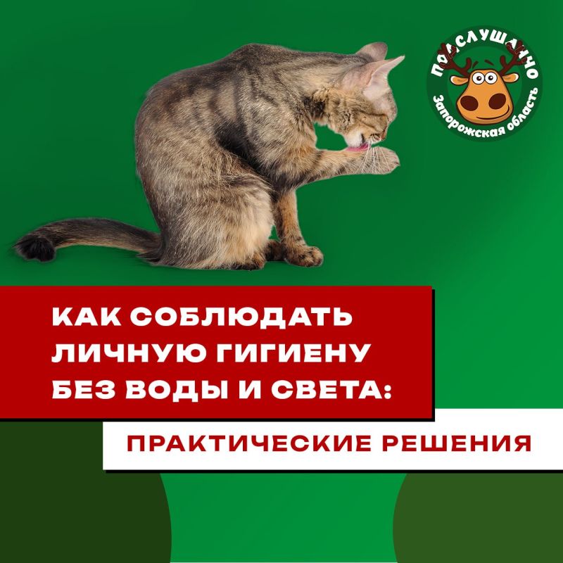 Как соблюдать личную гигиену без воды и света: практические решения