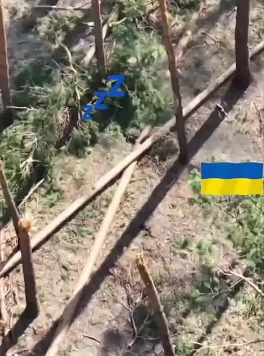 ��� ���� ��� ����� FPV��� ������