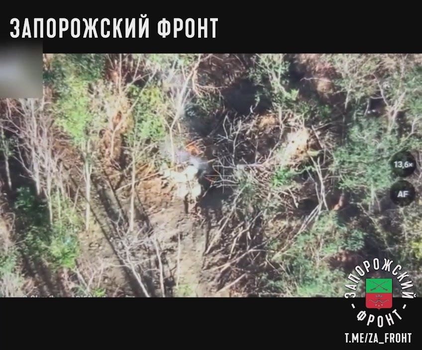 ������ ���������� ���� 291-�� �����