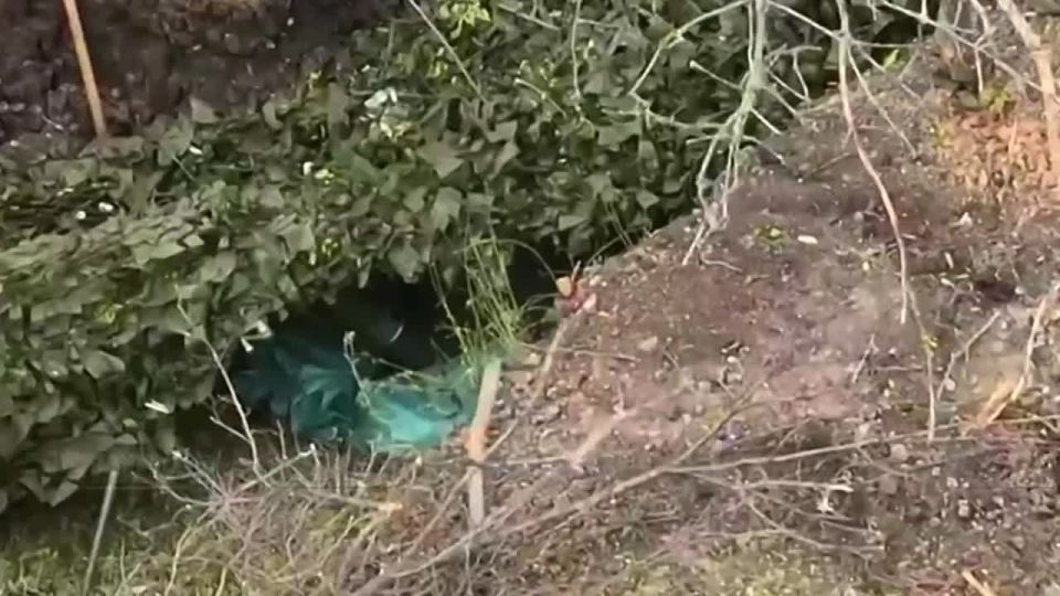 #��_�����������. ��������� ��� ��������������� ��������� 218 ��������� ����� 127 ������� 5 ����� ����������� ����� "������" ���������� � ���������� ������ ����������