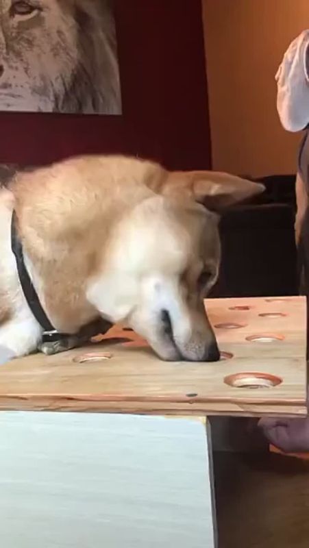 ��� ���� ������� ���� ������