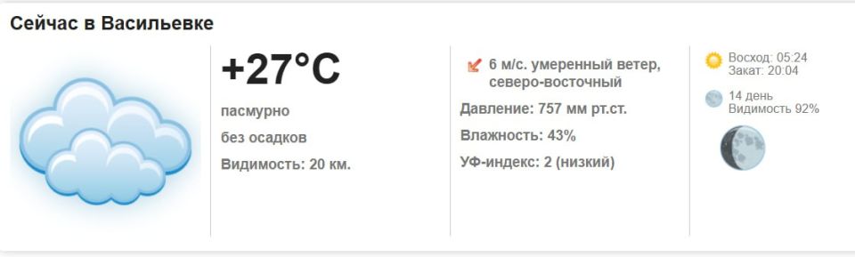 Сегодня, 7 августа 2025 года в Васильевке пасмурно, без осадков