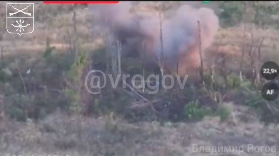 Владимир Рогов: Русские дроноводы против боевиков ЗеРейха