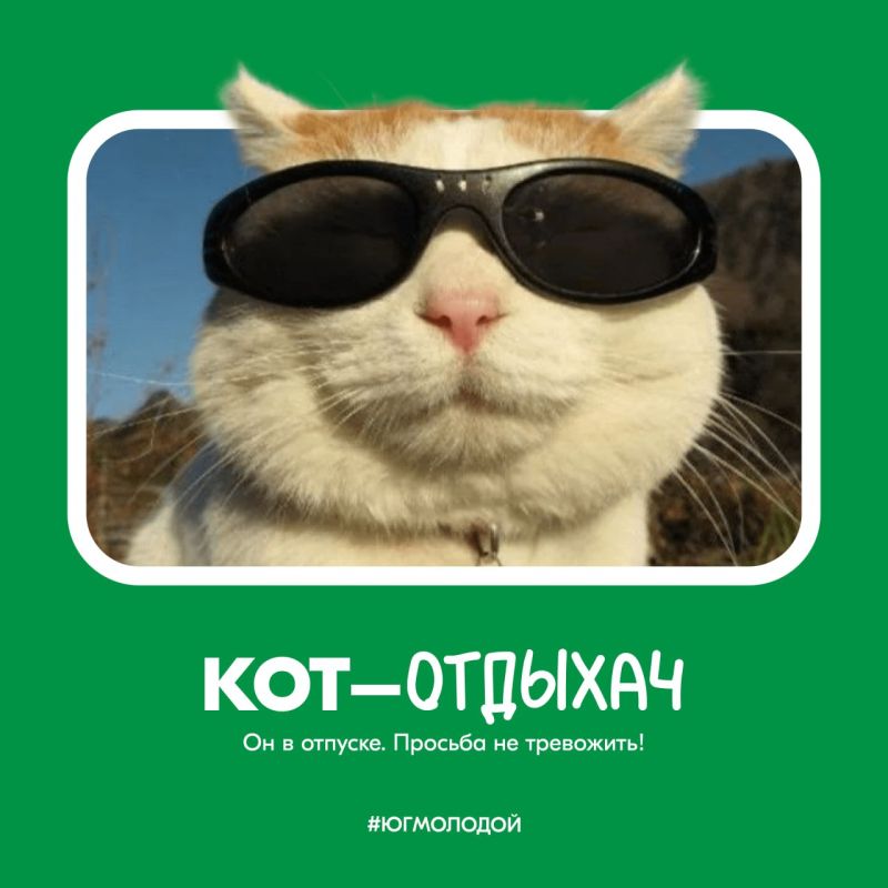 8 августа отмечается Всемирный день кошек!