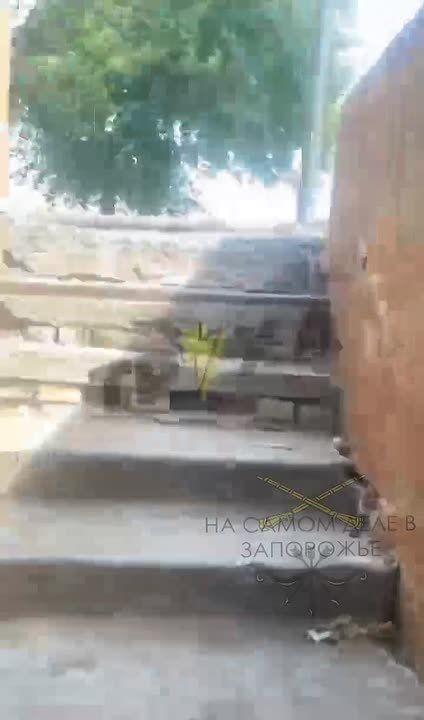 ���������� ����������� ������ ���������������� ���������� ����������� � ����������� �������
