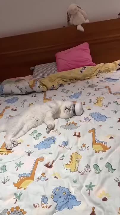 ������������� ����� �������
