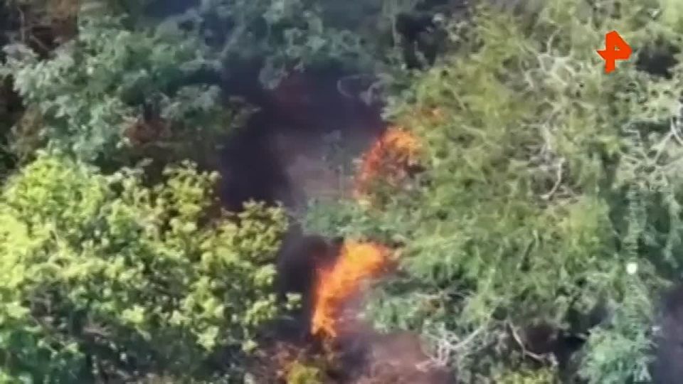 Артиллеристы ВС РФ уничтожили блиндажи ВСУ на Запорожском направлении