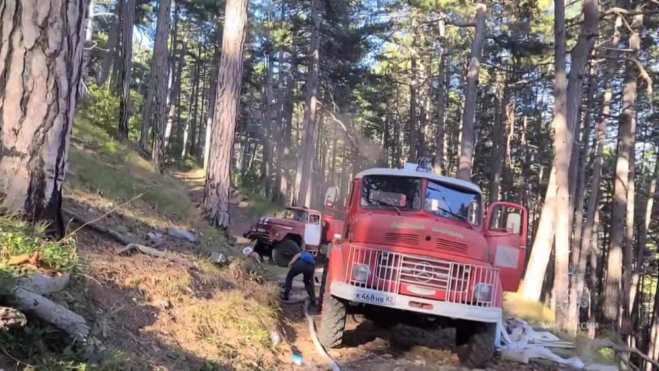 Кадры с места пожара в Ялтинском горно-лесном заповеднике