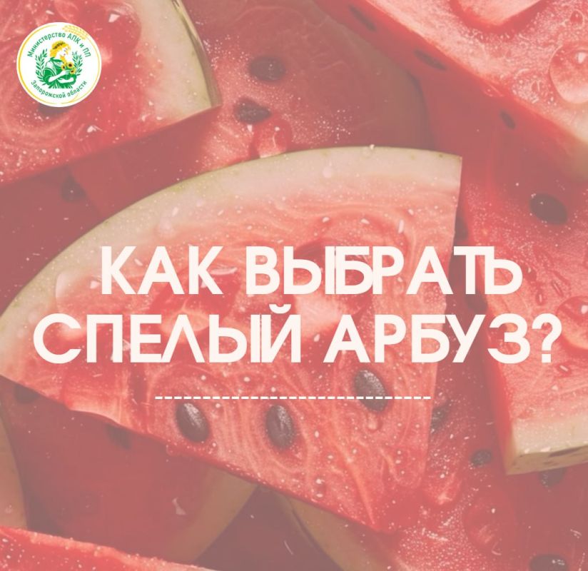 ��� ������� ������������� ������ �����?