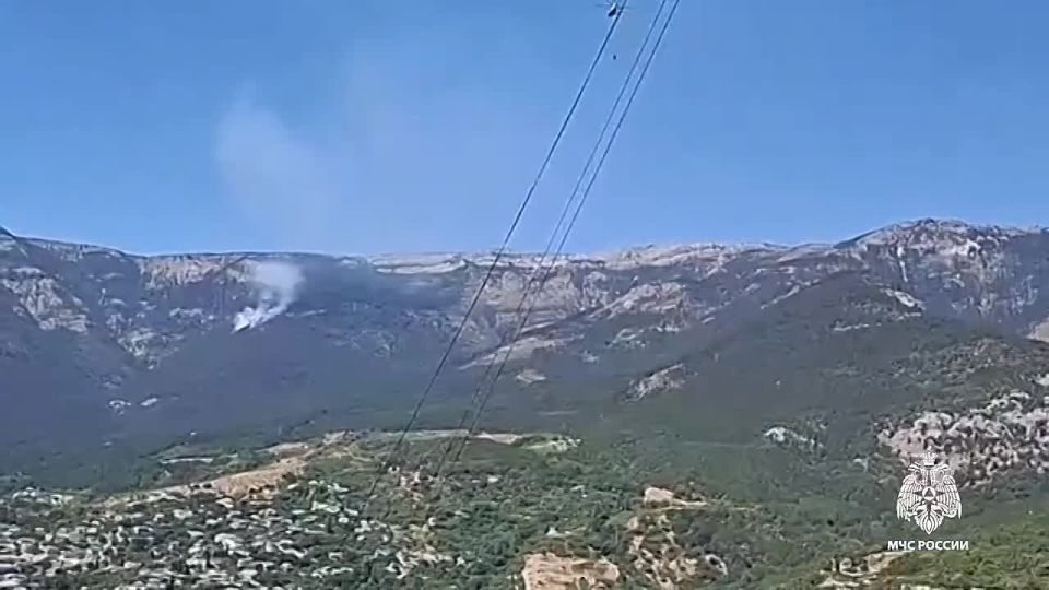 В Ялте горит природный заповедник, сообщили в МЧС