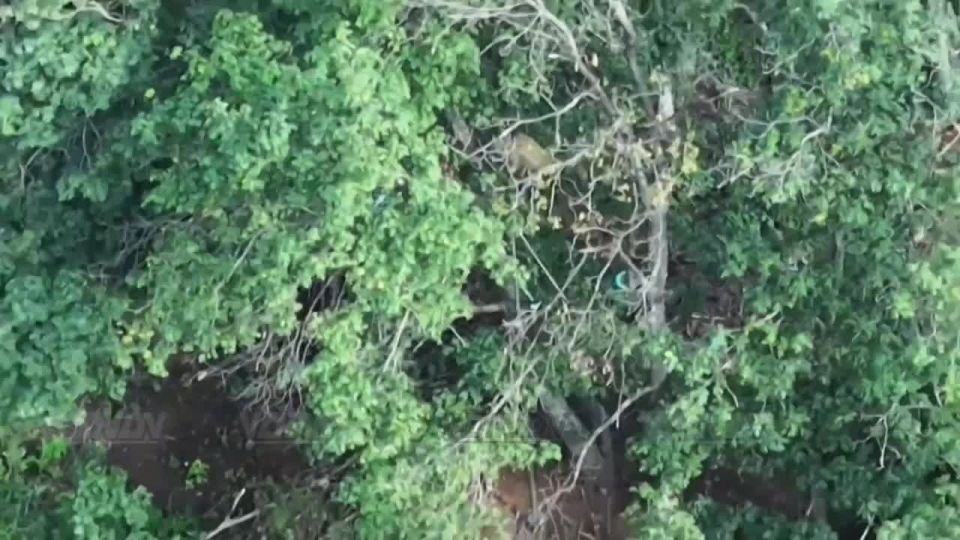 Операторы 14 гвардейской бригады спецназа в зоне ответственности 5 армии группировки войск "Восток" уничтожили пункт управления БЛА, антенну-ретранслятор и склад материальных средств ВСУ в Запорожье