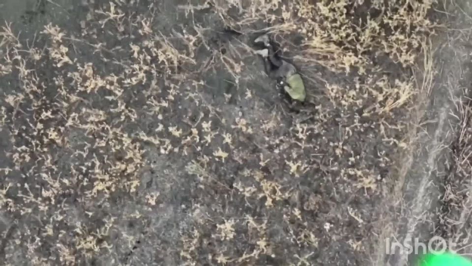 Кадры уничтожения отделения всушников на Запорожском направлении