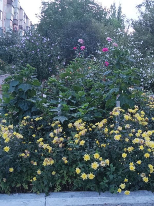 С добрым утром, с наступившим днём!