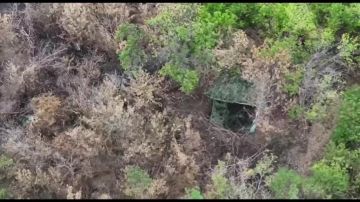  218    5    ""   ,         :