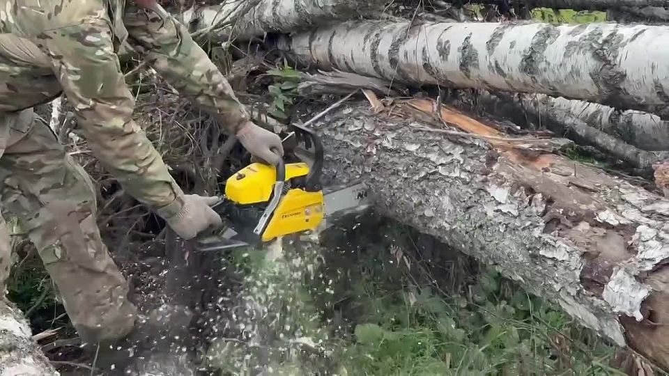 ����������������� ���� ������� � ����� ������ ���� ���������� ���������� ���������� ������������ ����� �� ����������� �������������� ������ �� ��