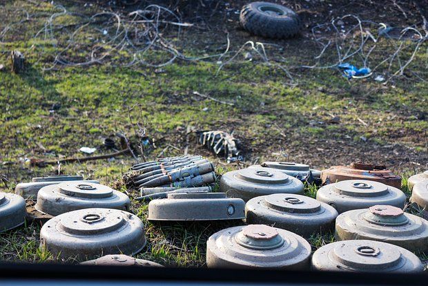 В Запорожской области ВСУ сбрасывают на дороги заминированные туши животных