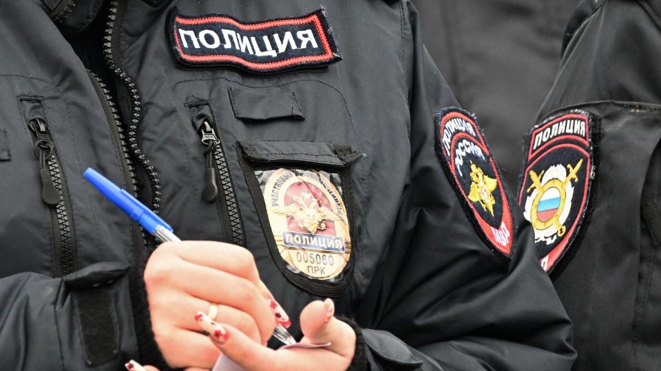 Один полицейский убит, второй ранен при задержании поджигателя релейного шкафа в Архангельской области