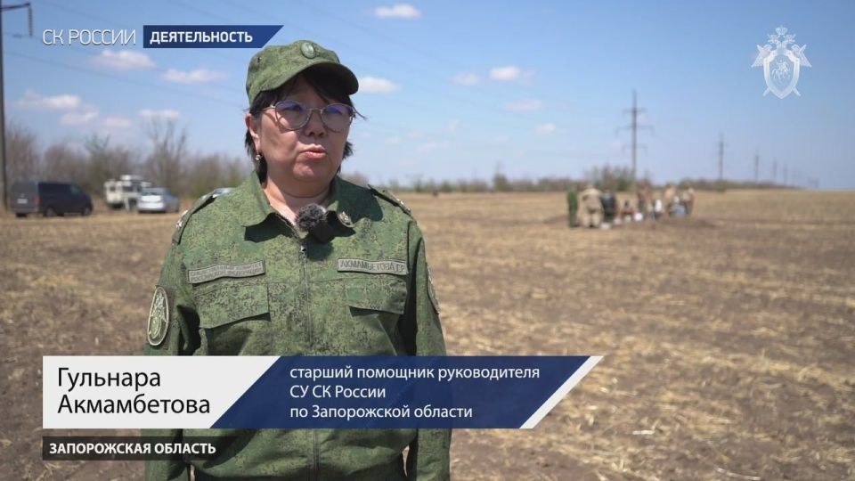 В Запорожской области обнаружены останки бойцов Красной Армии