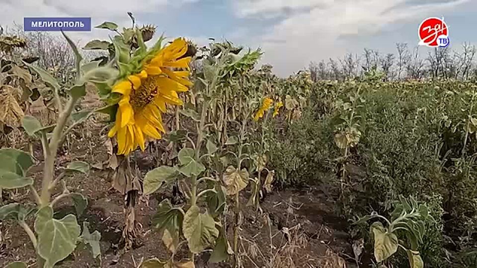 ������� ������� ���������� ����������� ������� � ����������, ��� ��������� ��������� �������� ������� ������ �������������