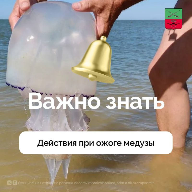���� �� ����� ������ ��� ����� ������?