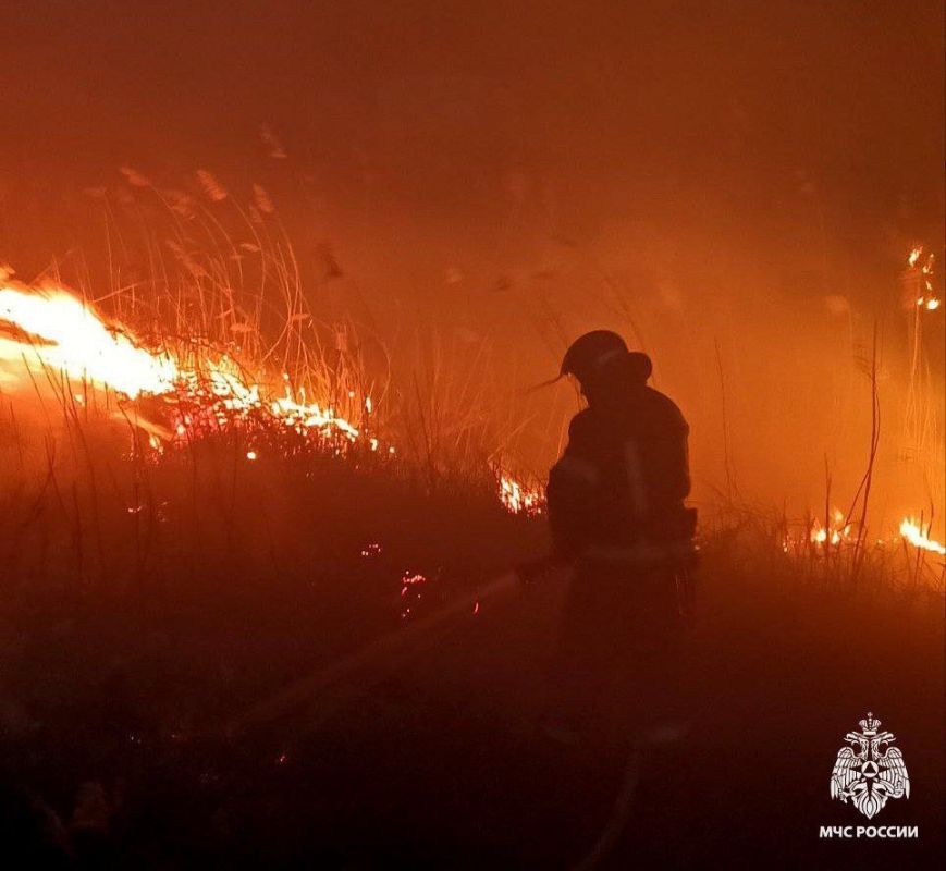 223 пожара ликвидировали сотрудники МЧС России в Запорожской области за неделю