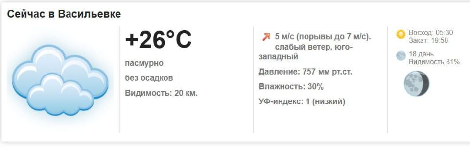 Сегодня, 11 августа 2025 года в Васильевке пасмурно, без осадков