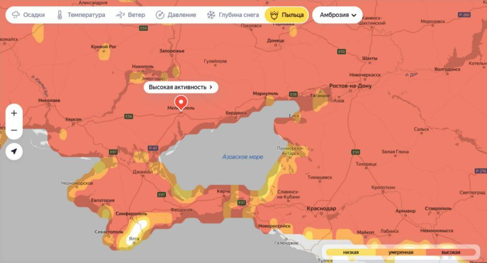 Анна Хорошун: В России начался сезон цветения амброзии — одного из самых опасных аллергенов
