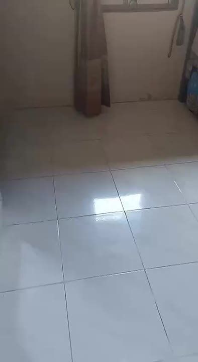 � �������� ���� � �������� ���