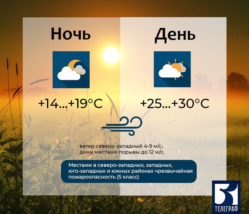 ������� ������ �� ������, 13 �������