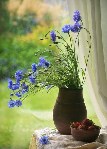 Доброе утро. А вы знали, что сегодня