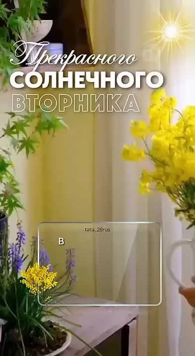 Доброе утро