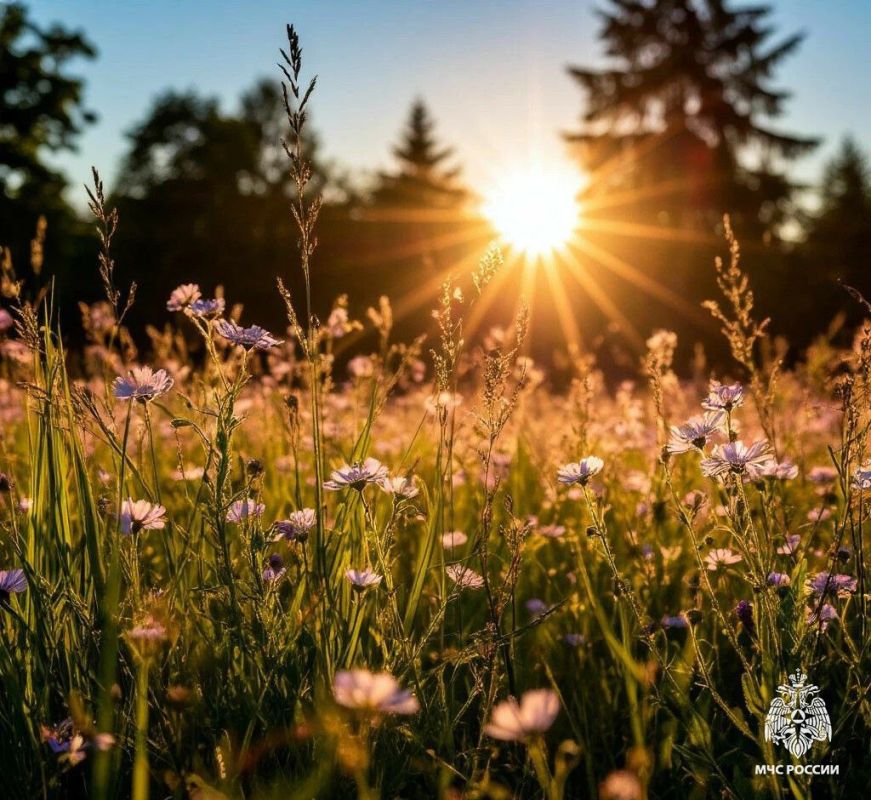 Чрезвычайная пожароопасность
