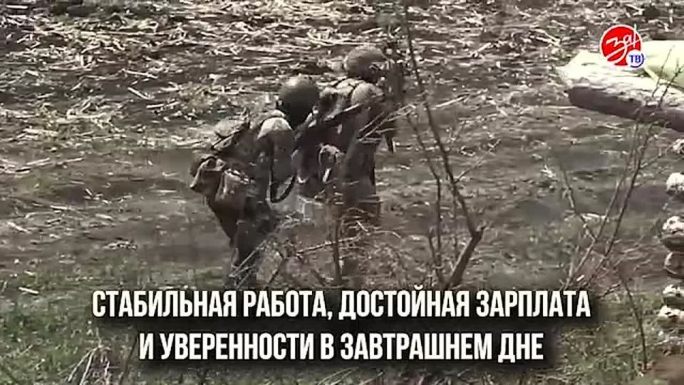 Защитники Родины: путь к миру и безопасности