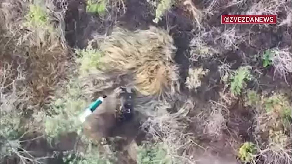 Алексей Леонков: Дроны ликвидировали пехоту ВСУ и сорвали их ротацию в районе поселка Плавни в Запорожской области