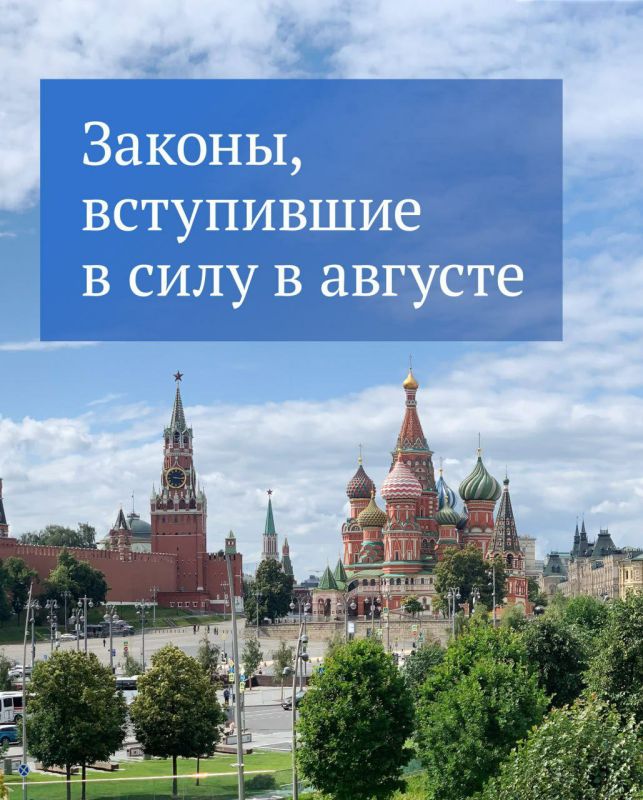 Анна Хорошун: В августе вступили в силу несколько важных законодательных изменений, затрагивающих разные сферы жизни россиян