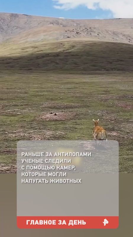 Встреча Владимира Путина и Дональда Трампа пройдет в Анкоридже, сообщает Белый дом