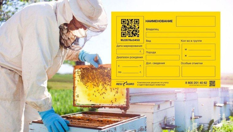 ВНИМАНИЮ ВЛАДЕЛЬЦЕВ ПАСЕК! Филиал ГБУ ЗО «Ветеринарный центр» в Приморском районе сообщает, что в соответствии с Правилами осуществления учета животных и перечня видов животных, подлежащих индивидуальному и групповому...