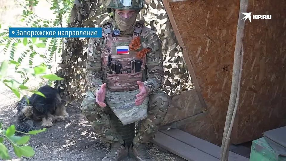 Позывной Каракуля: Четвероногий товарищ дарит ласку и морально помогает