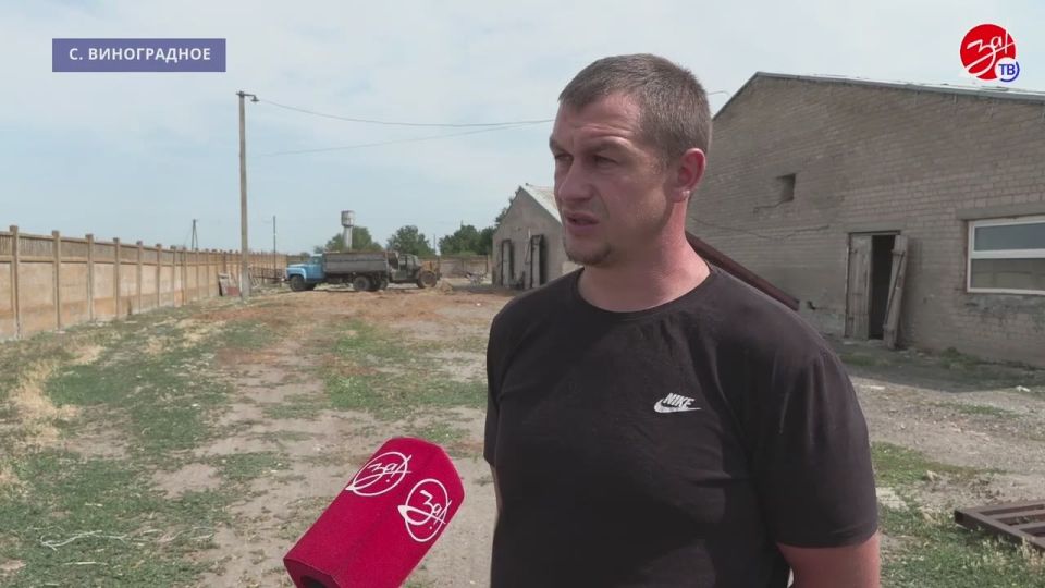 Мощность сельскохозяйственной промышленности Токмакского муниципального округа планомерно растёт