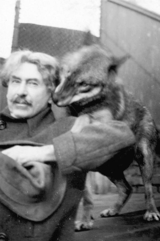 Пришибская библиотека представила книжную выставку в честь юбилея Сетона-Томпсона