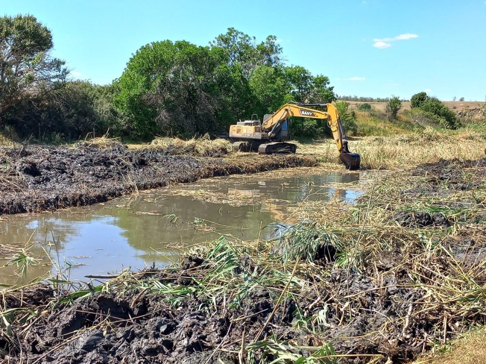 Начаты работы по оздоровлению реки Берда