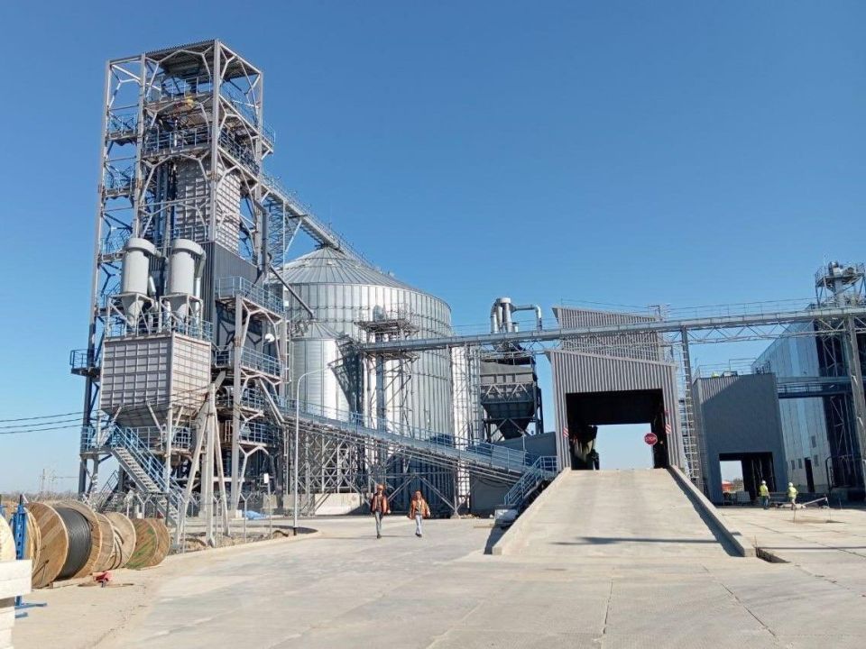 В Ростовской области откроют первый в России завод по переработке льна