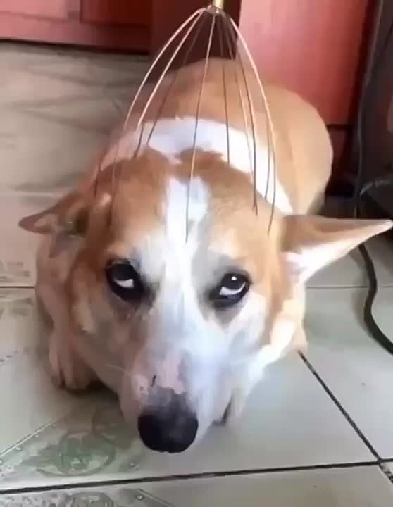 �������-�� �����. ����������� ����� ������