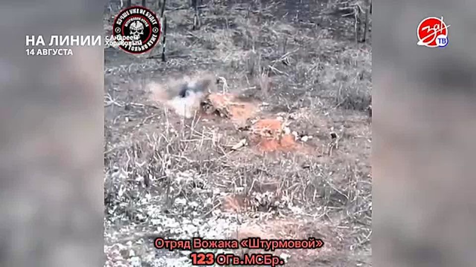 Разбираем обстановку на фронте вместе с Андреем Хорьковым в программе «На Линии» | 14 августа