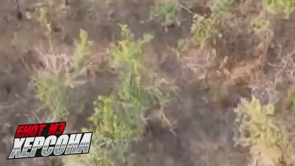 Владислав Шурыгин: Ставропольские десантники сорвали ротацию ВСУ под Плавнями